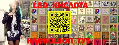 амф Кингисепп