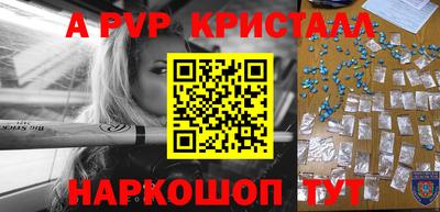 амф Кингисепп