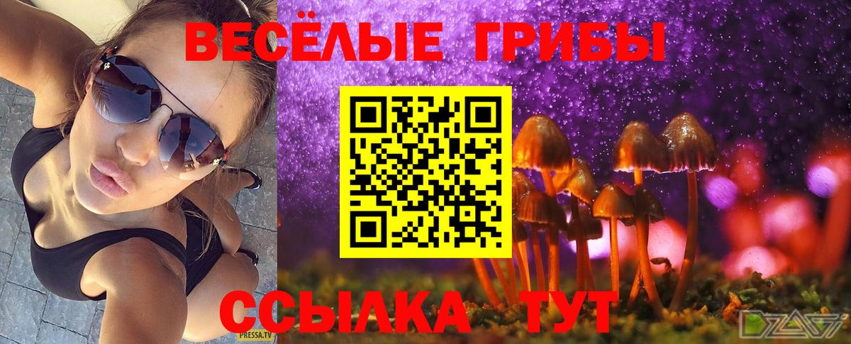Клинцы  Галлюциногенные грибы GOLDEN TEACHER  цена   Галлюциногенные грибы Psilocybine cubensis  Вход с VPN 