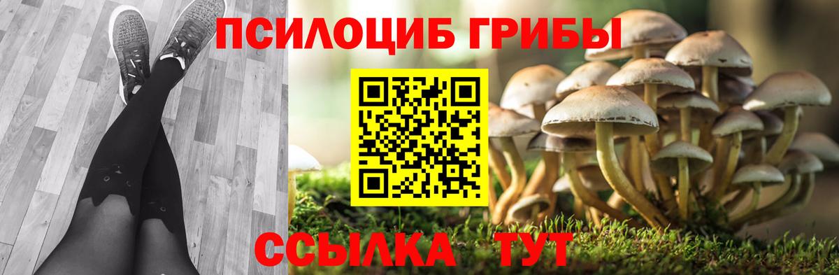Псилоцибиновые грибы Cubensis Клинцы